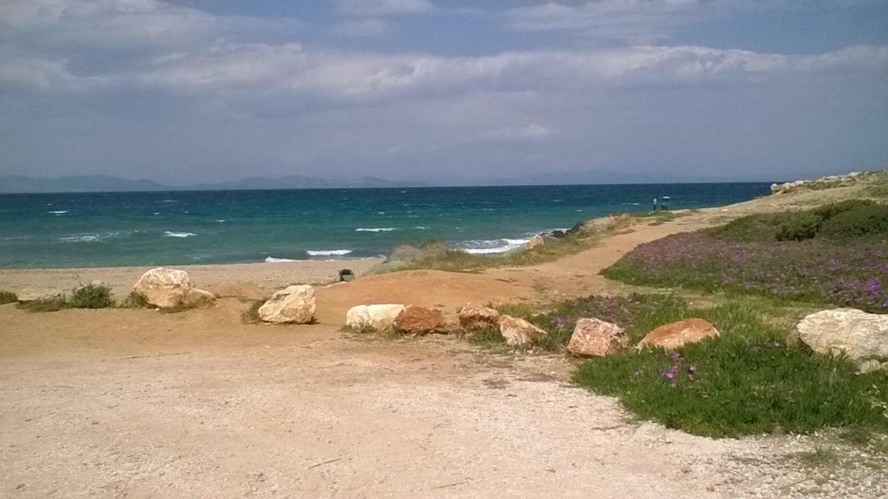 Nireos Proteos 20 Appartement Rafína Buitenkant foto