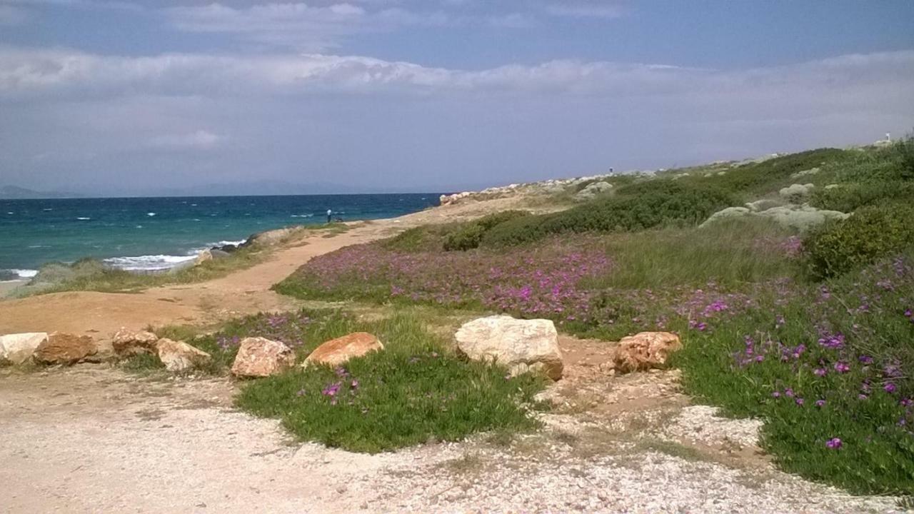 Nireos Proteos 20 Appartement Rafína Buitenkant foto
